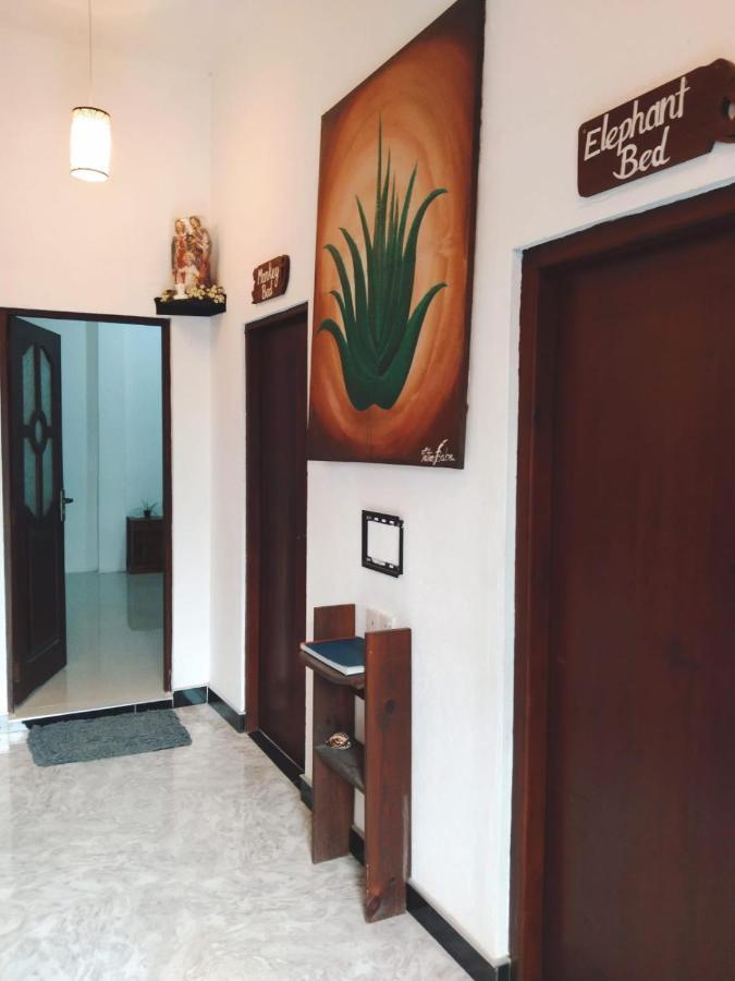 נגומבו Aloevera Villa מראה חיצוני תמונה